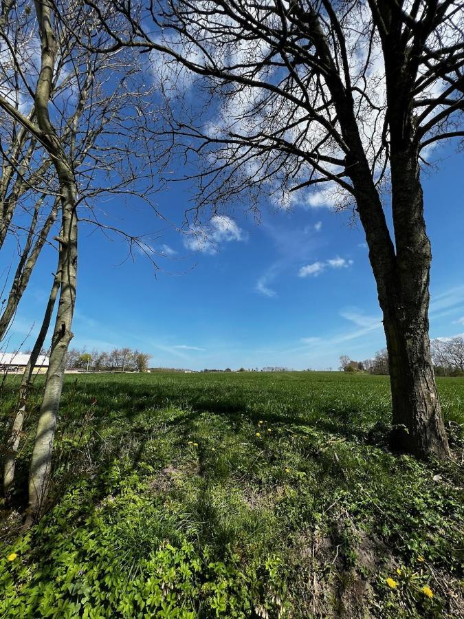 Kroghojgard Middelfart Zewnętrze zdjęcie